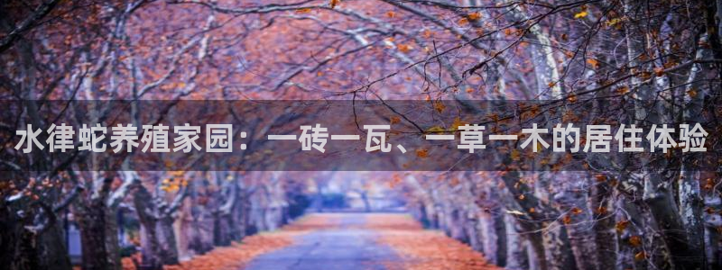 富联娱乐注册量判官333OO：水律蛇养殖家园：一砖一瓦、一草一木的居住体验