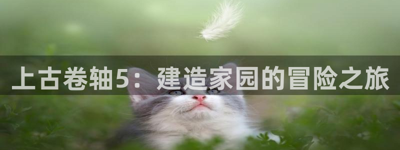 富联娱乐官网登录入口网址：上古卷轴5：建造家园的冒险之旅