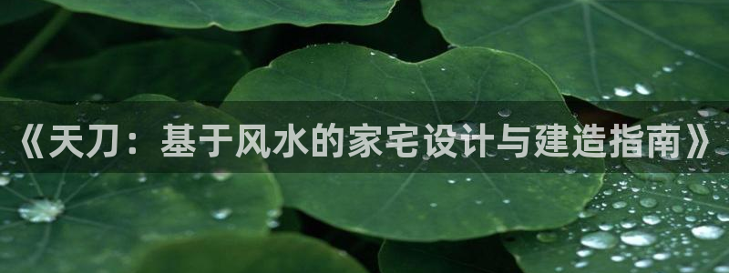 富联娱乐登录测速在哪：《天刀：基于风水的家宅设计与建造指南》
