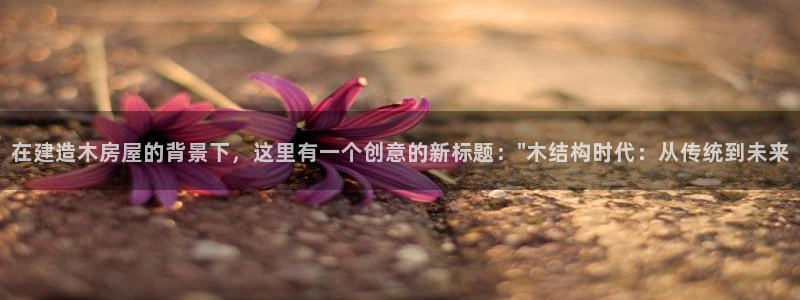 富联娱乐贴吧网站首页：在建造木房屋的背景下，这里有一个创意的新标题：\
