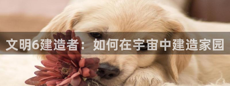 富联娱乐首页在哪看：文明6建造者：如何在宇宙中建造家园