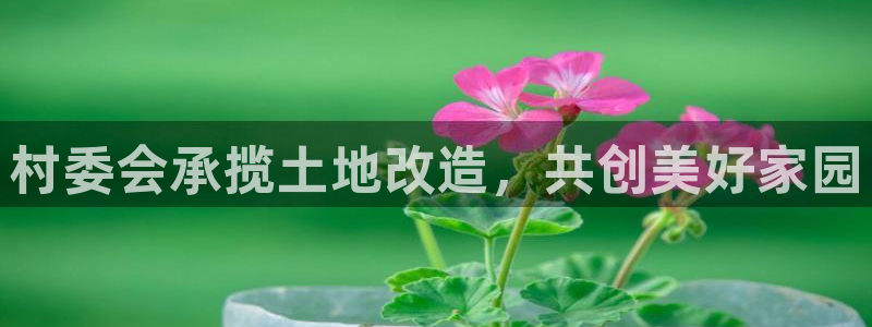 富联娱乐招商分听判官333OO：村委会承揽土地改造，共创美好家园