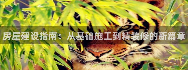 富联娱乐登录链接在哪里：房屋建设指南：从基础施工到精装修的新篇章