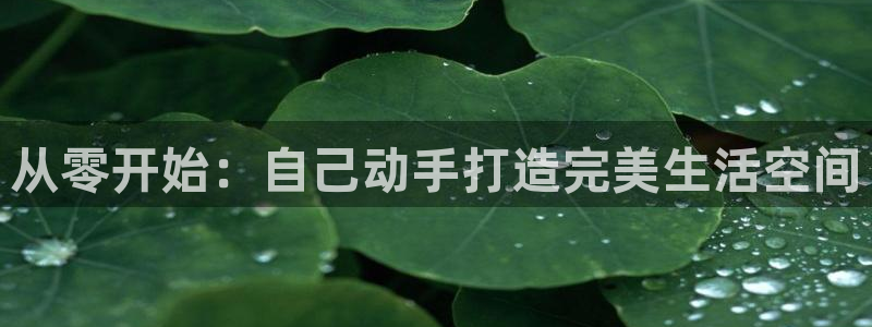 富联娱乐主管是什么职位：从零开始：自己动手打造完美生活空间