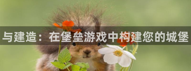 富联娱乐代理是谁开的：与建造：在堡垒游戏中构建您的城堡