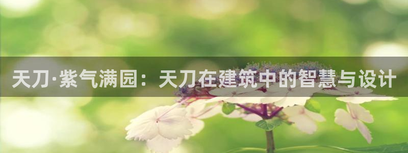 富联娱乐测速app：天刀·紫气满园：天刀在建筑中的智慧与设计