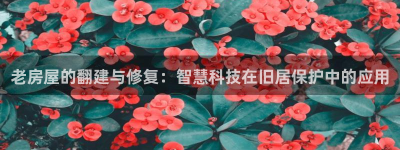 富联娱乐主管地判官333OO：老房屋的翻建与修复：智慧科技在旧居保护中的应用