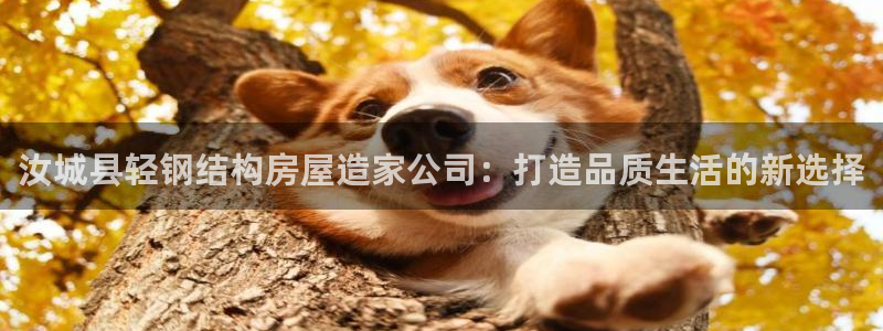 富联娱乐向5o69I7：汝城县轻钢结构房屋造家公司：打造品质生活的新选择