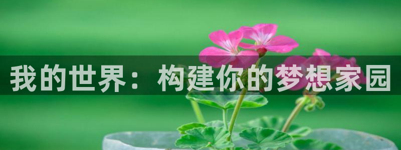 富联娱乐平台注册流程：我的世界：构建你的梦想家园