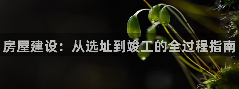 富联娱乐官网注册入口网址：房屋建设：从选址到竣工的全过程指南
