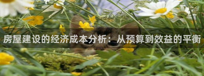 富联娱乐测速地址查询：房屋建设的经济成本分析：从预算到效益的平衡