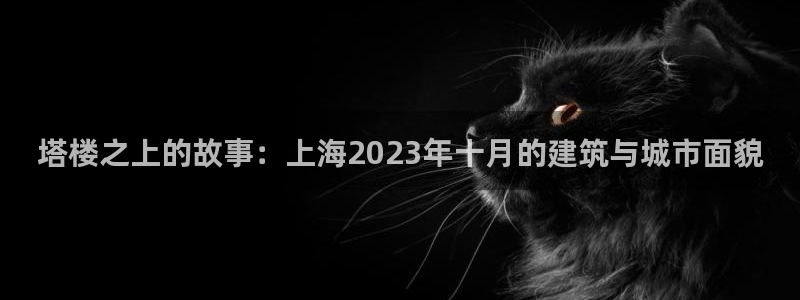 广州联富大厦鼎盛娱乐：塔楼之上的故事：上海2023年十月的建筑与城市面貌