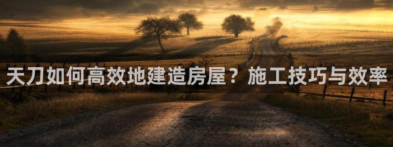 富联娱乐代理是谁做的呀：天刀如何高效地建造房屋？施工技巧与效率