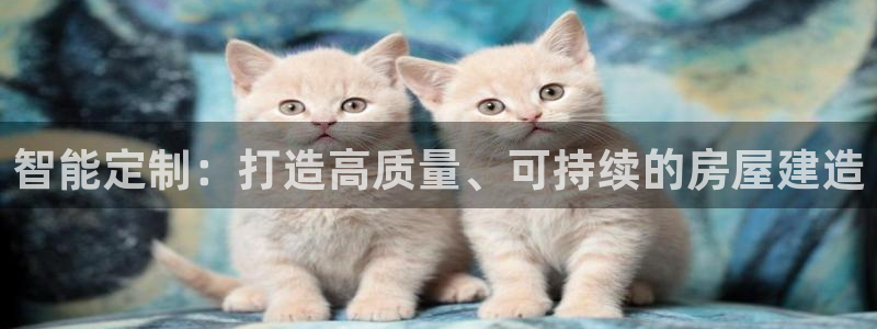 富联娱乐元哥：智能定制：打造高质量、可持续的房屋建造