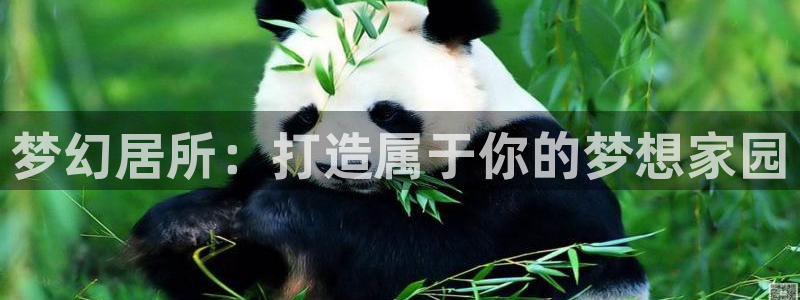 富联娱乐主管是谁啊：梦幻居所：打造属于你的梦想家园