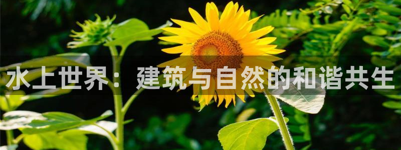 富联娱乐官网下载手机版：水上世界：建筑与自然的和谐共生