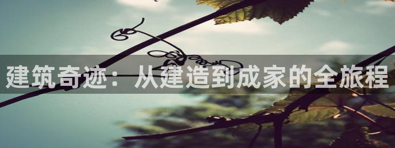 富联娱乐官网入口：建筑奇迹：从建造到成家的全旅程