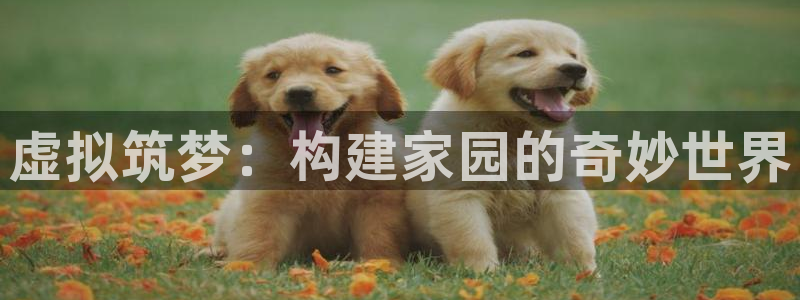 富联娱乐qv87555：虚拟筑梦：构建家园的奇妙世界