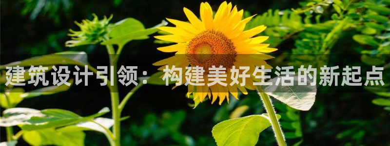 富联娱乐首页官网下载：建筑设计引领：构建美好生活的新起点