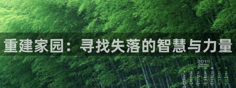 富联娱乐首页在哪找：重建家园：寻找失落的智慧与力量