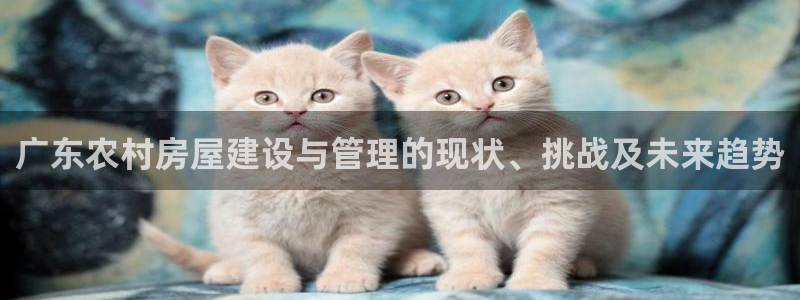 富联娱乐客户端