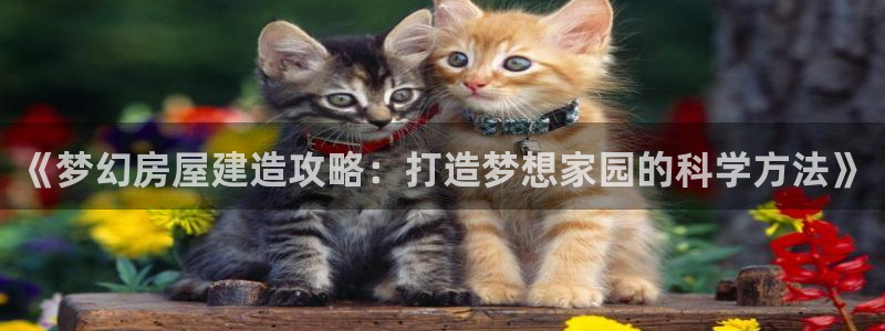 富联娱乐平台注册条件：《梦幻房屋建造攻略：打造梦想家园的科学方法》