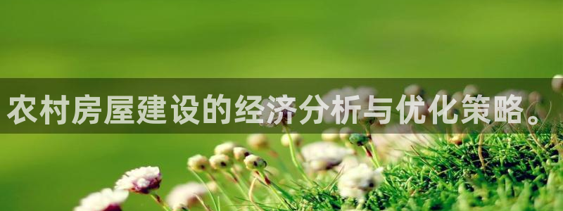 富联娱乐元哥：农村房屋建设的经济分析与优化策略。