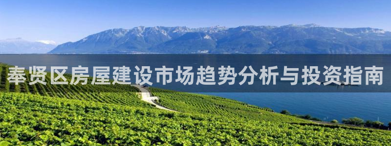 富联娱乐主管留判官333OO：奉贤区房屋建设市场趋势分析与投资指南