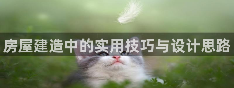 富联娱乐首页登录不上去：房屋建造中的实用技巧与设计思路