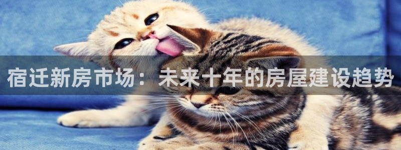 富联娱乐主营业务：宿迁新房市场：未来十年的房屋建设趋势