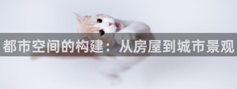 富联娱乐代理是谁开的店：都市空间的构建：从房屋到城市景观